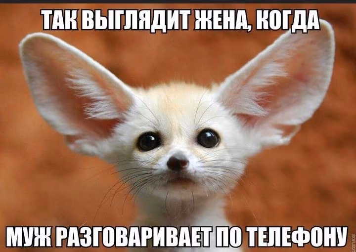 f2d11a7f571189ae0bdbb28f4d6c1d5e.jpg