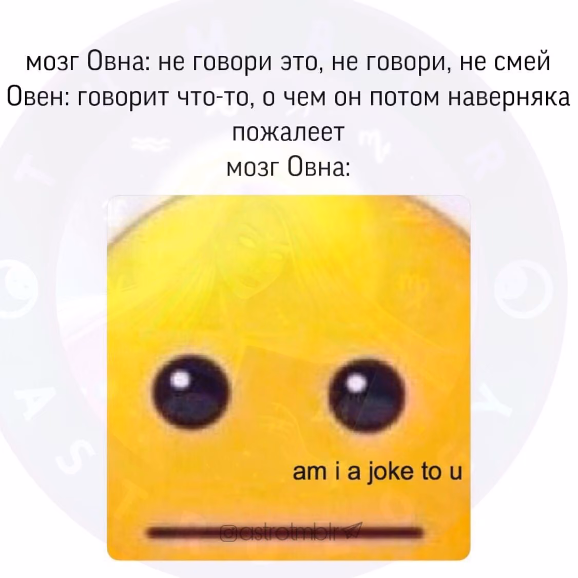 f2e3f5cfc006cfe68873fd747e48b546.avif
