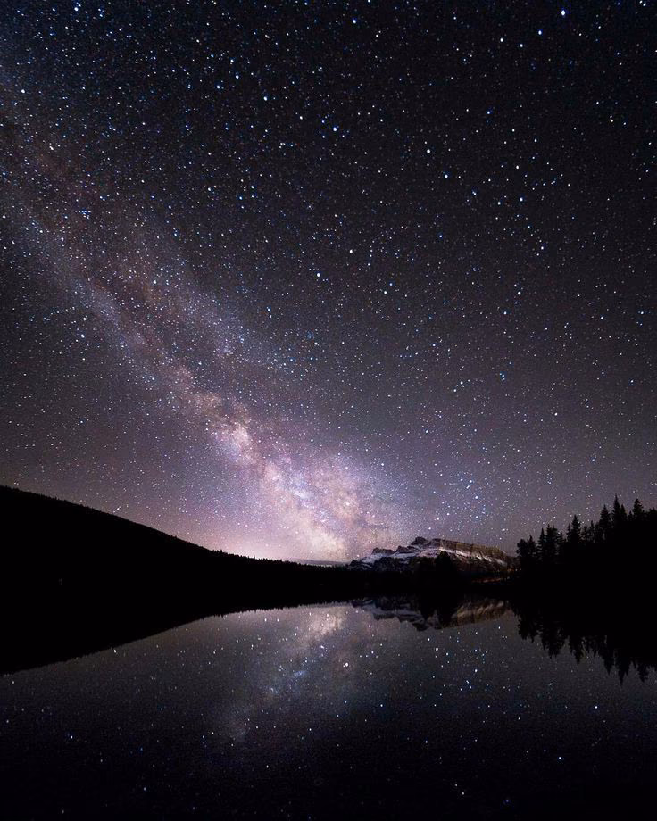 f2ec29fb5cf37986577a6f1a5d933f4e.avif