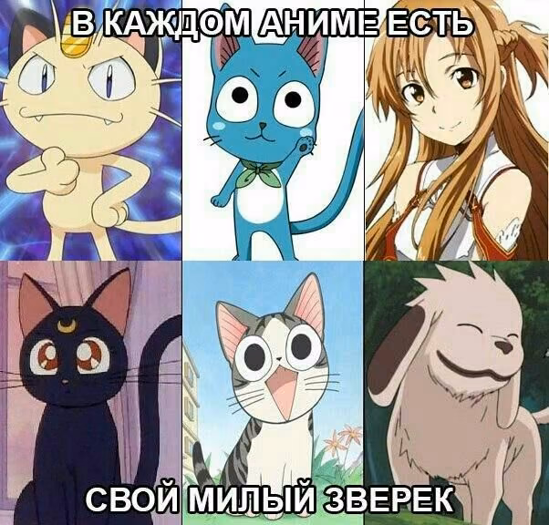 f2f1ad2a35b150e32e06989a115702b6.jpg