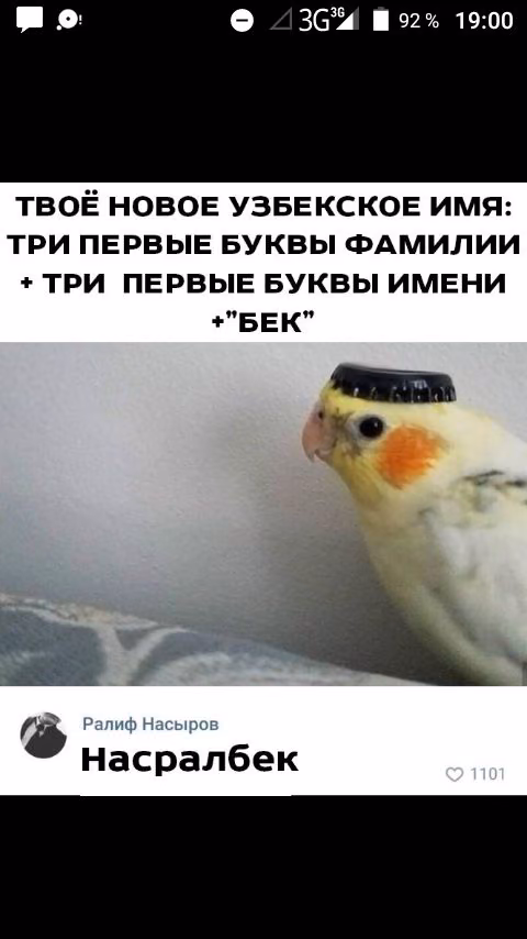 f3304fadc9d585ab5c4886e220c3eeb7.jpg