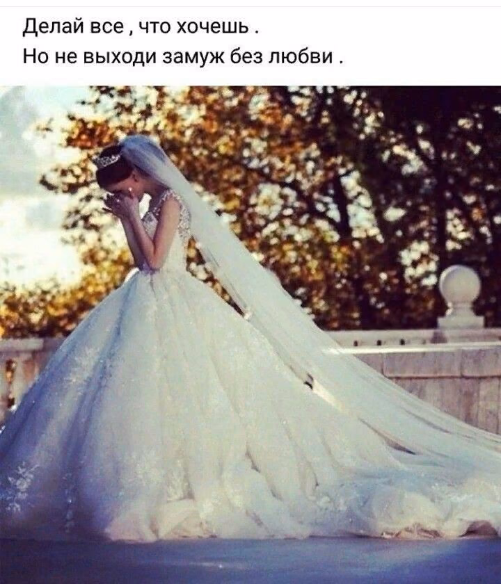 f336c68a3fffe56837387e59173e73f6.jpg