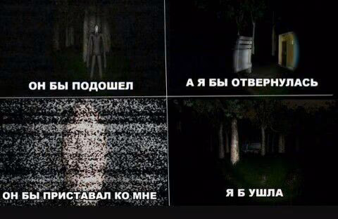 f34393492682f4c7b9e7317fd100efa6.jpg