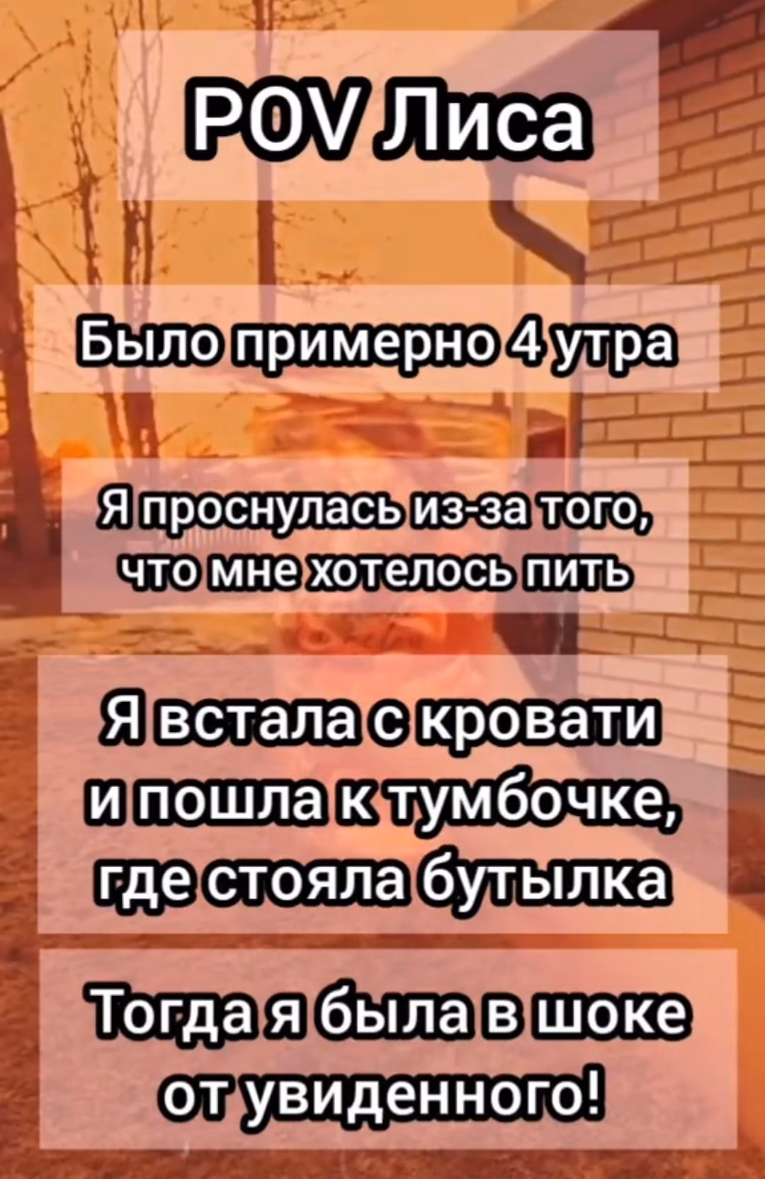 f372452c9461e9e54b0b7df2bcb25b5f.avif