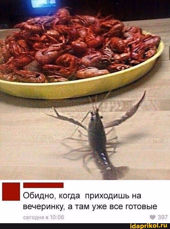 f38ece3d56ef5c21800d4fba99b90354.avif