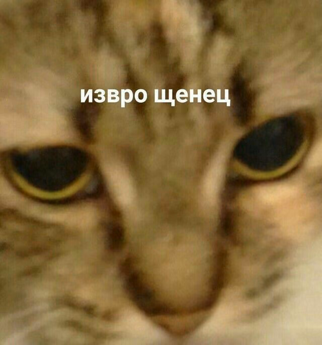 f3988c6ce651649883b6bdf53b930a7e.avif