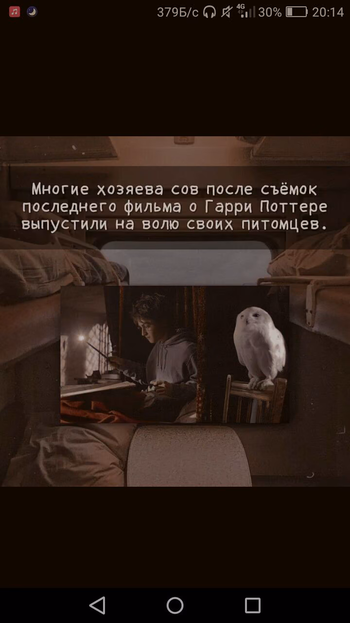 f3a44de18bd869f7cba3f5e40789c0c8.avif