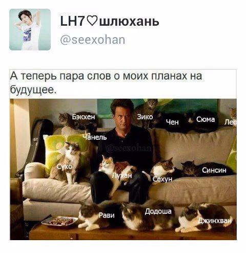 f3a712f9b7bdd98784c13aebe2fca847.avif