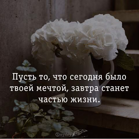 f3aab552d722728a890727e09847d18a.jpg