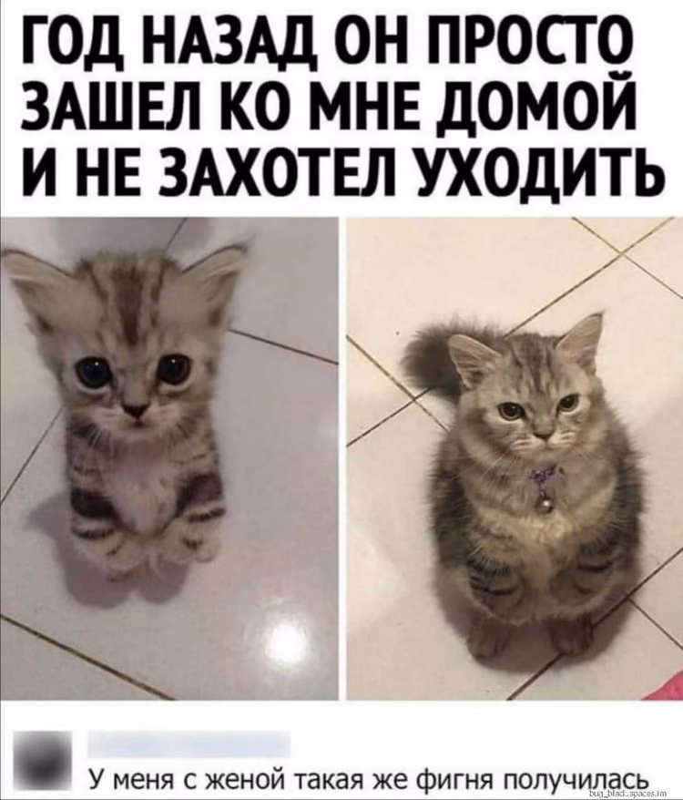f3b2028cac38c6b5fe9644b45c1f29de.jpg