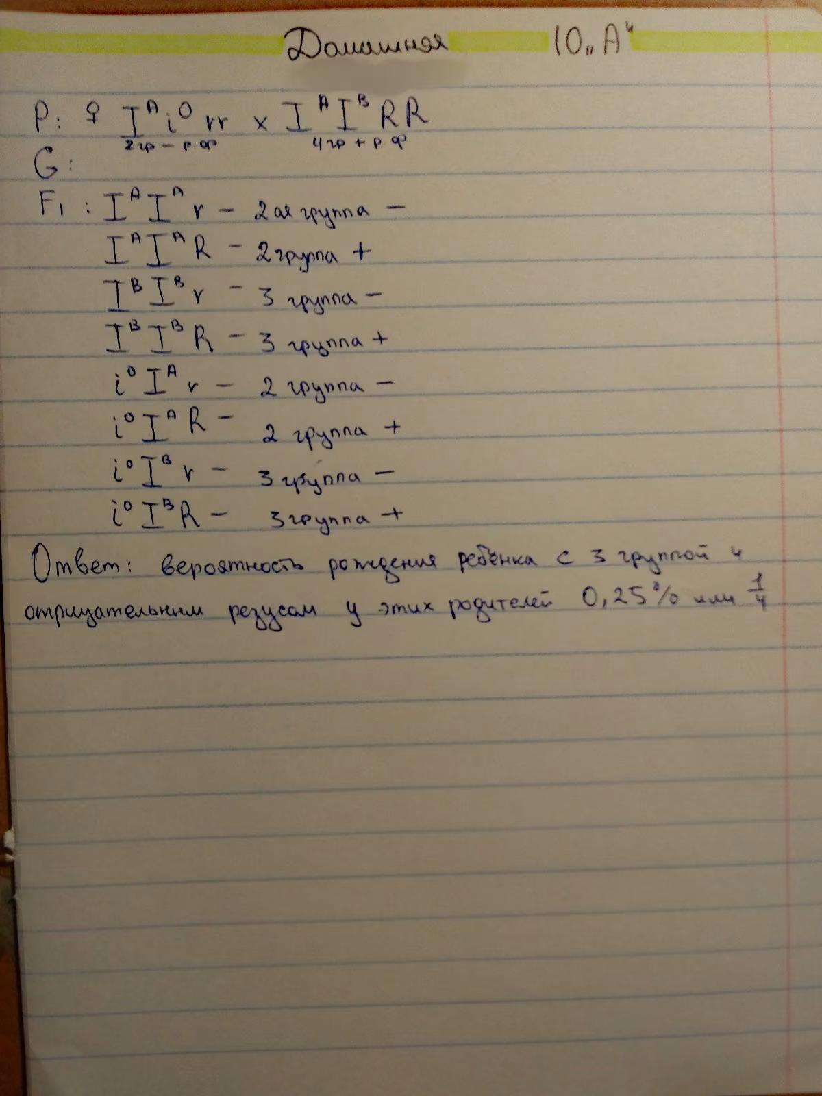 f3bd793c754fc30ada74211fd0d93a88.jpg