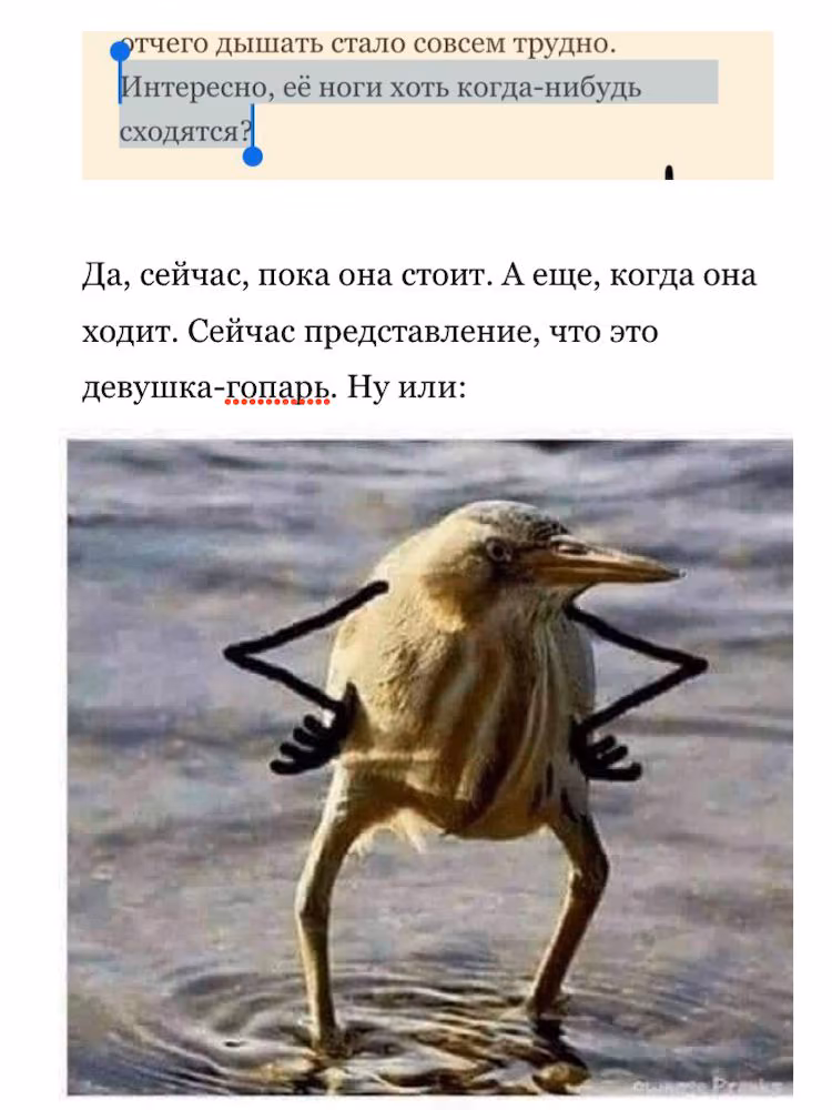 f3c1e079ad4efe93a5bd3125ba9f9c13.avif