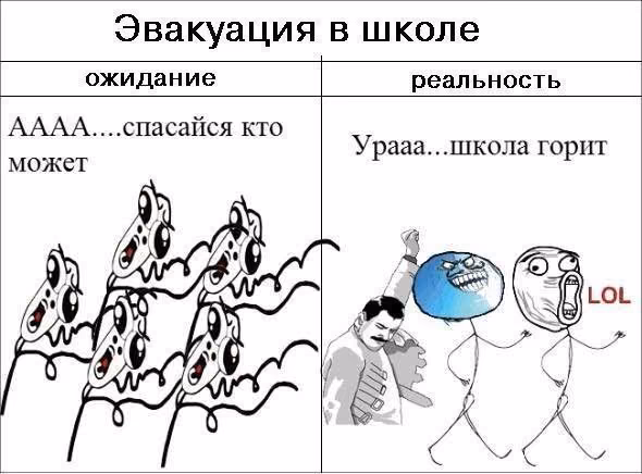 f3c4e2ca8fdefdfd77291d5f4003dcb9.avif