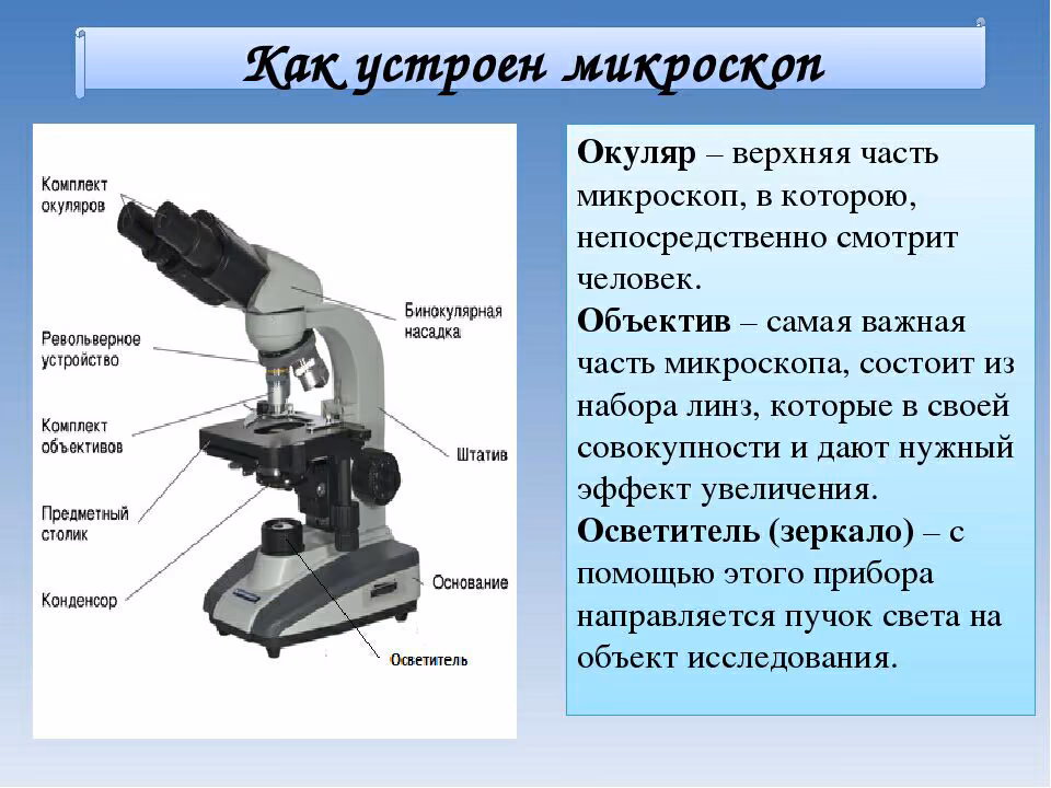 f3c680eb8fbd335fac9451cbdf068fee.avif