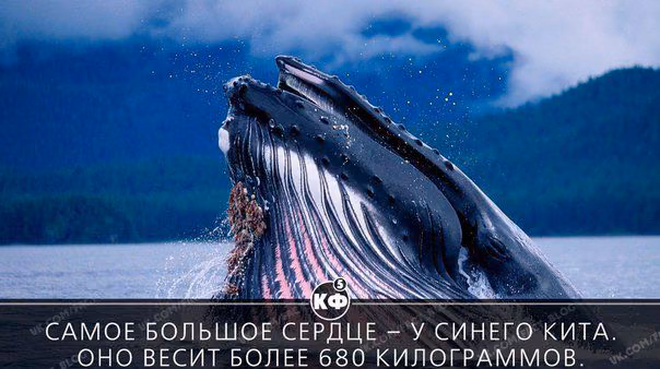 f3ccf77068374559bba429b7a020a334.avif