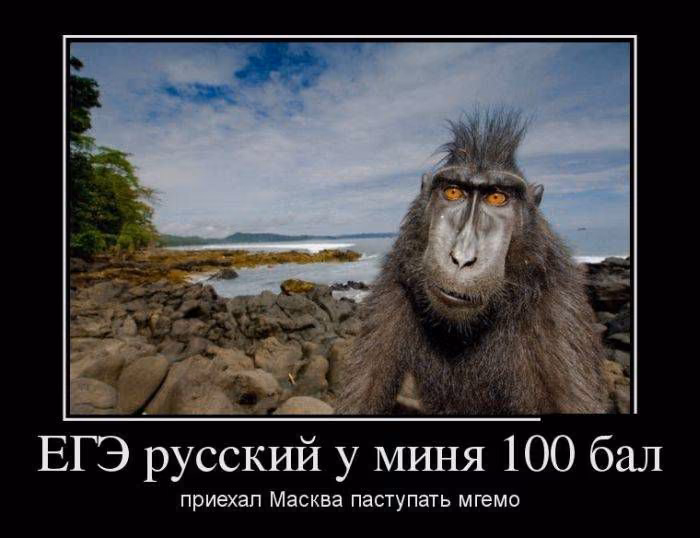 f3d3a315452d2405bcc27ebe13900157.jpg