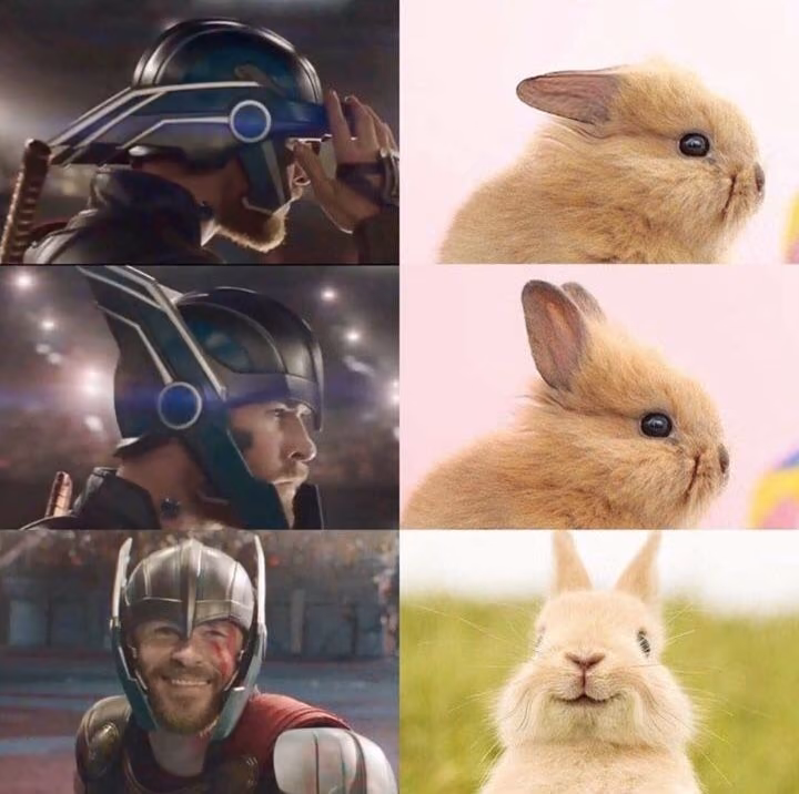 f3d5d9f002e615a530549909542f8fec.jpg