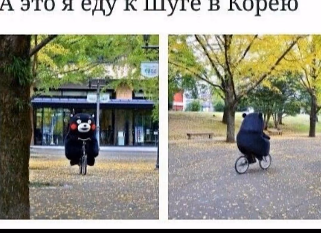 f3efe06d9fa3ede66df2d059b59dfa79.jpg