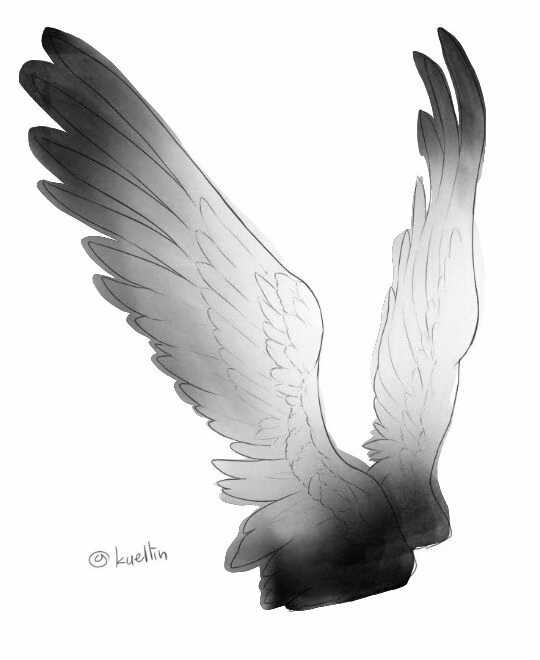 f3f7e2ff18a49bdc3f7e53f99363c6a1.avif