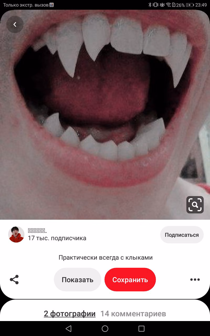 f3f8fe8478aae3ec880fa7e40bd74d2b.jpg