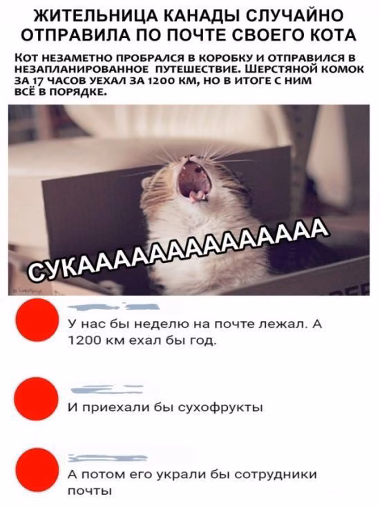 f4242ace0e20df8793ddee77e41a8353.avif