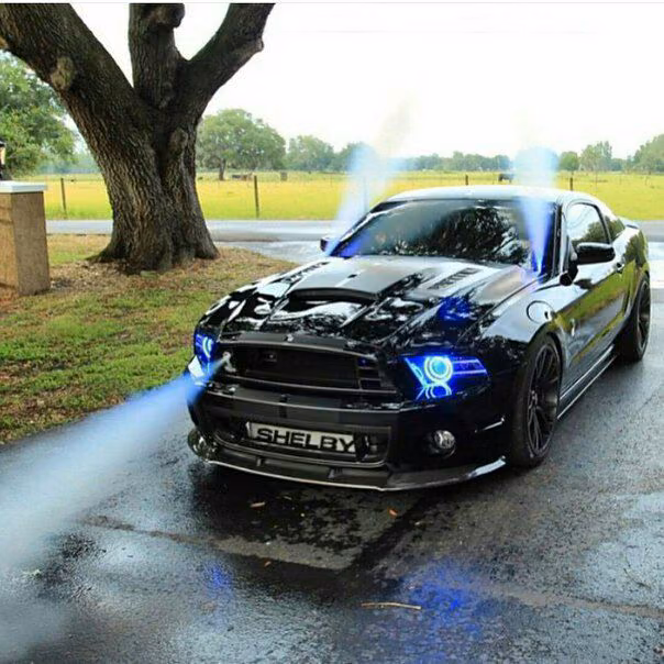 f4340fc8702c2cd179b27dfad8ba48c2.jpg