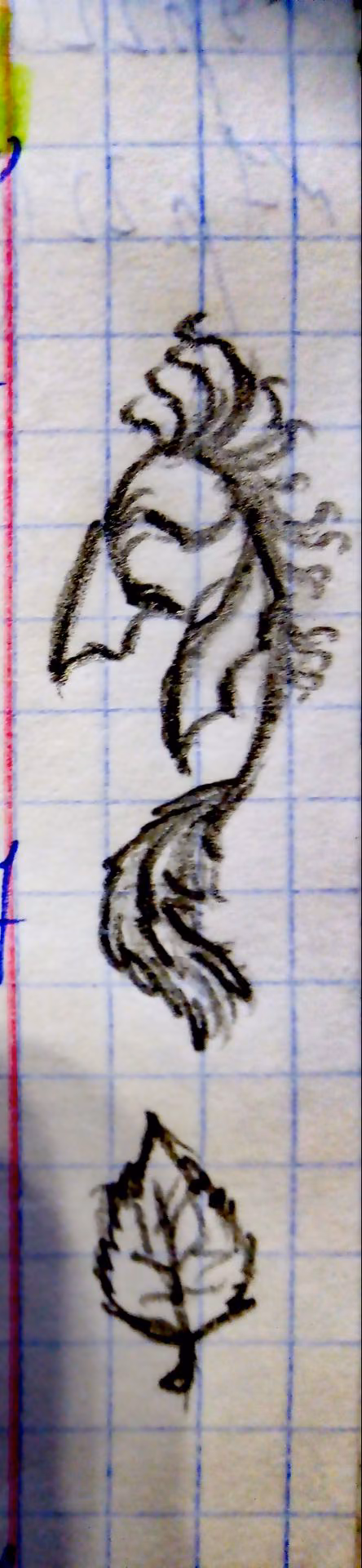 f44fe4367993e998d462b4171ba69489.jpg