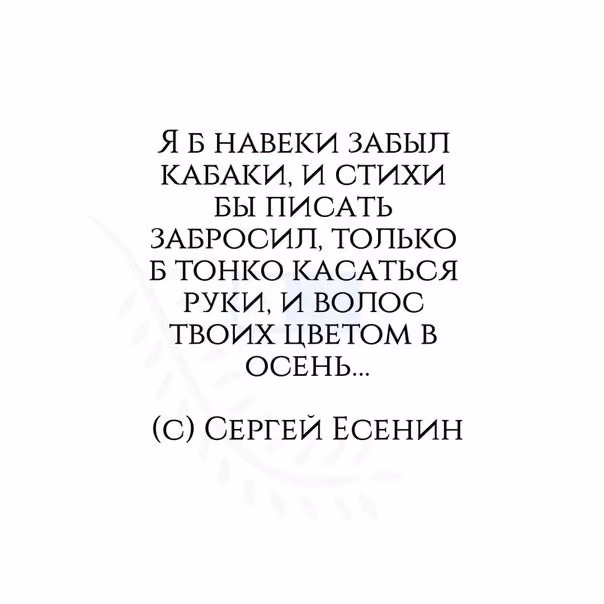 f4588fd2e3d143466cf9c0194140c600.jpg