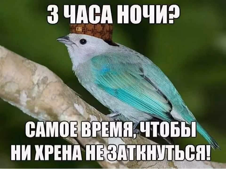 f46fe735b460f141a56522ee1b75d912.avif