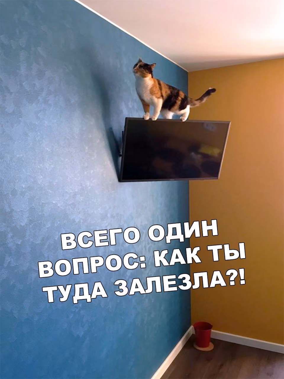 f488f6eac8f30ebdd7057ab3abccb8ab.jpg