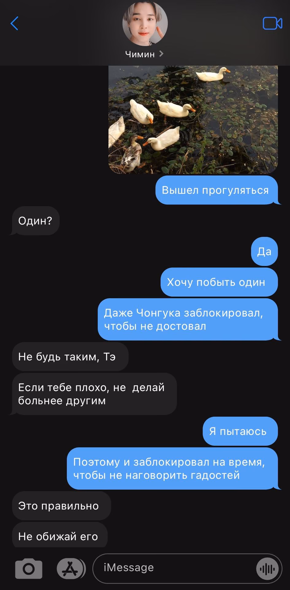 f48e023f507dccbbdb7979c61112efb2.avif