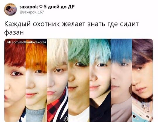 f4970c90560239863794d66cd83e22ca.avif