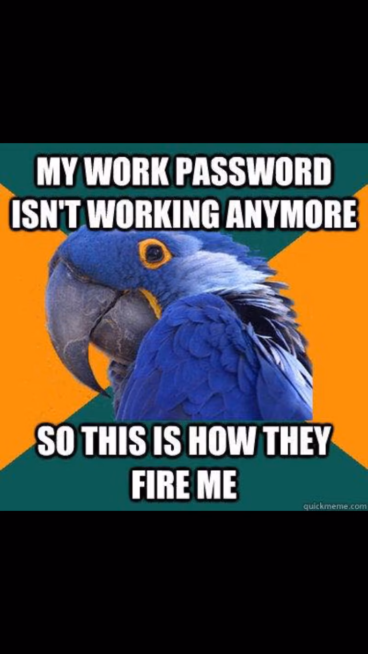f4bd65e36e553fb25ed8a222ff034291.jpg