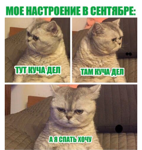 f4c7ff8fa2ad12e9871953c5d5ff4379.jpg
