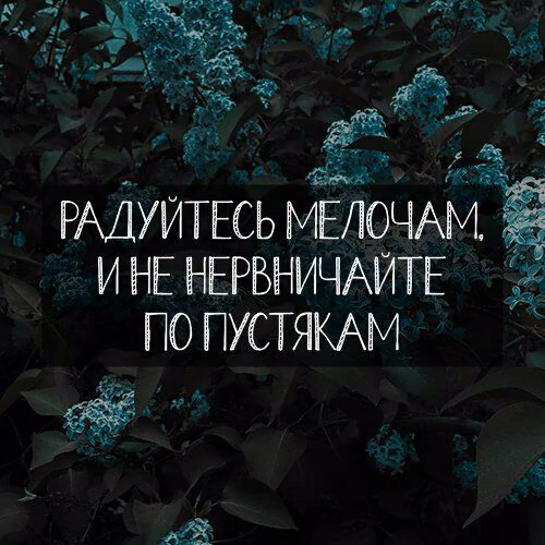 f4cd190def118daa456d06cb68358917.jpg