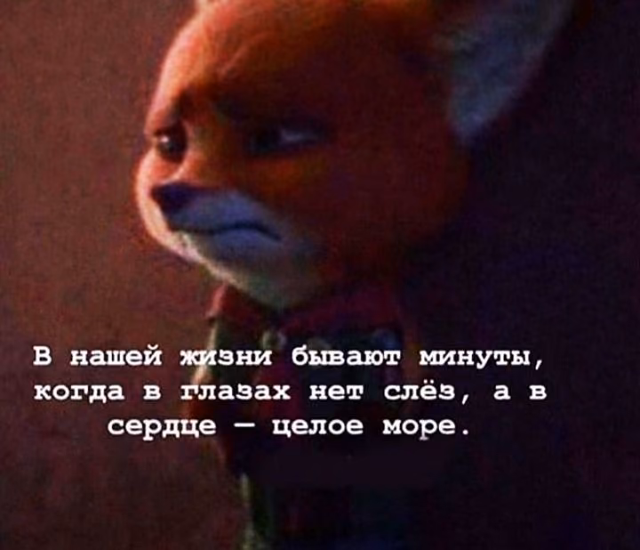 f4d77b09d8fb5523149c859e8754dfc4.jpg