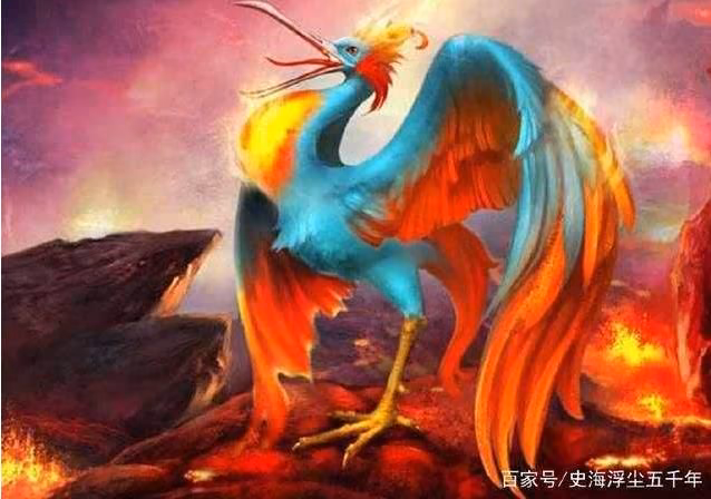 f4e0428c1a65dabebcbdc2e806adf416.avif
