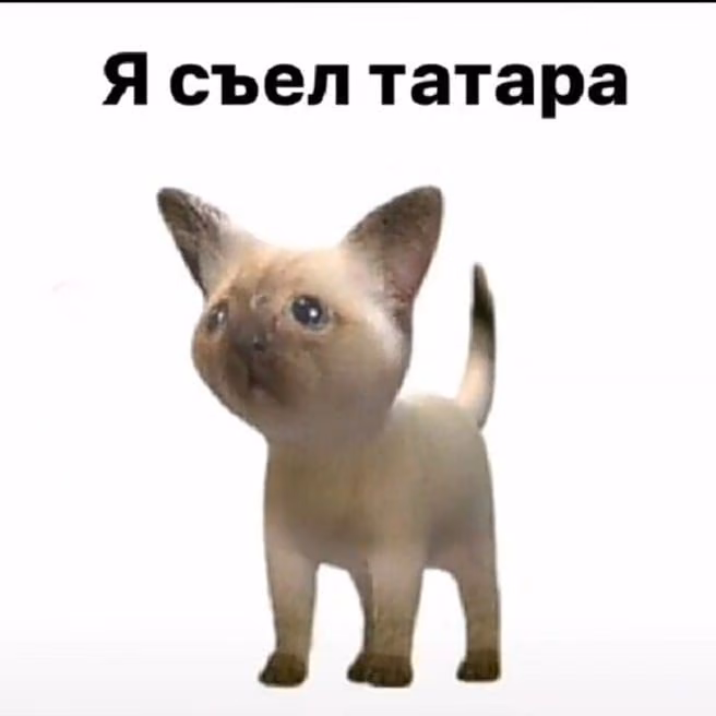 f4e4101db2deb3d88a2d06ff752a8017.avif