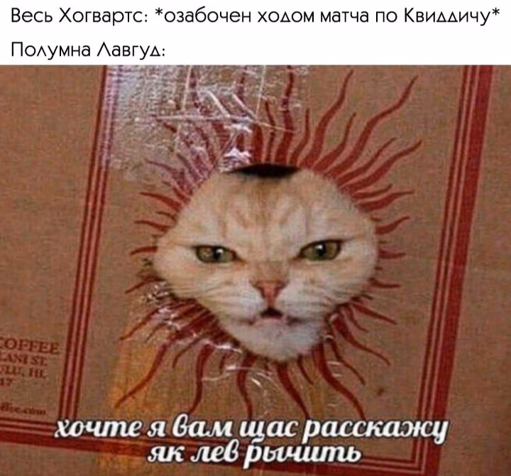 f4f63c87f4e73da123ed717a2d62f2bc.avif