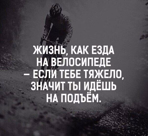 f501a1297661d6f862e68664d2962c13.avif