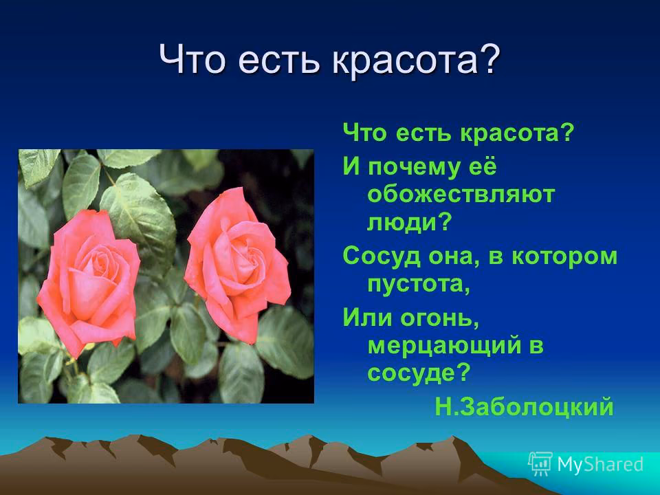 f522495f97924f3a69ecd0340c459be2.avif