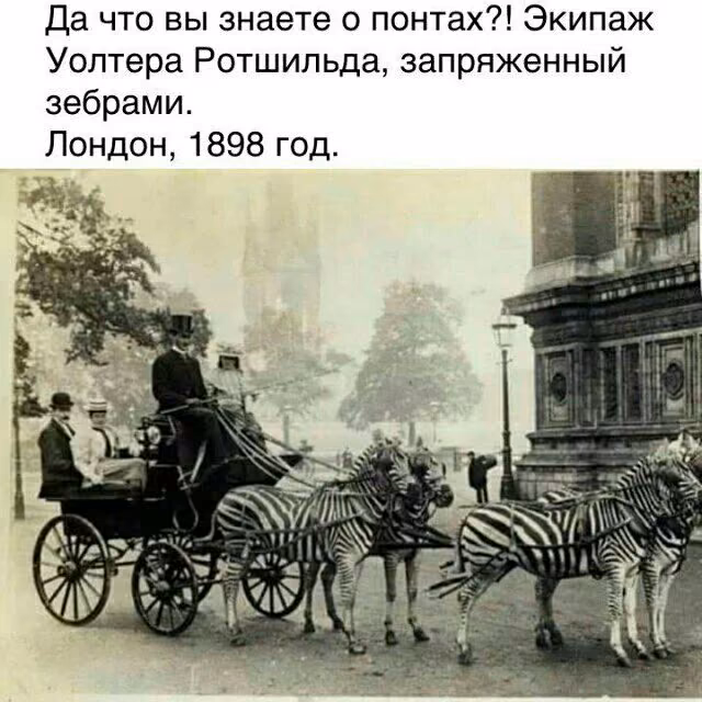 f525b9b58797a728320f3a2c9c2b85f4.avif