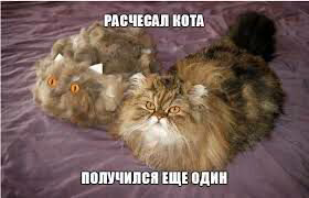 f536708de0885f6bb8082d6254b191a5.jpg