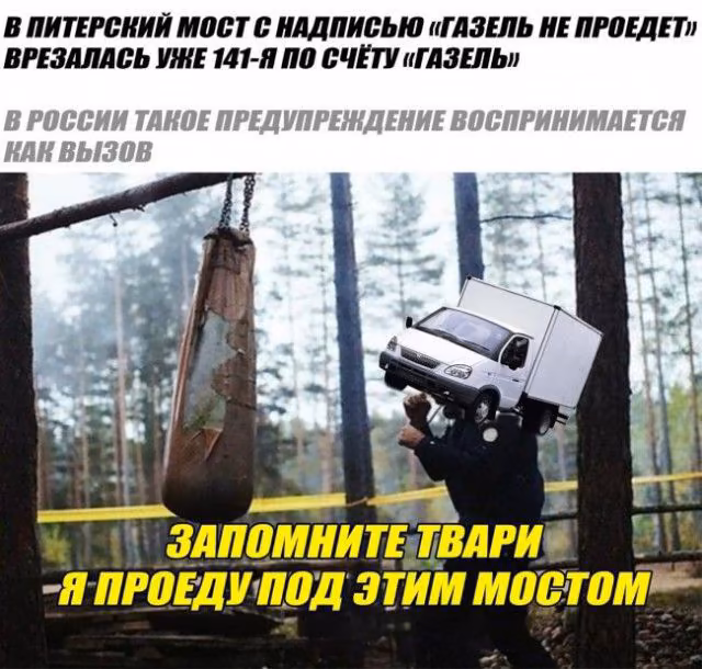 f53b34981ada042d1b33d5d36ed696af.avif