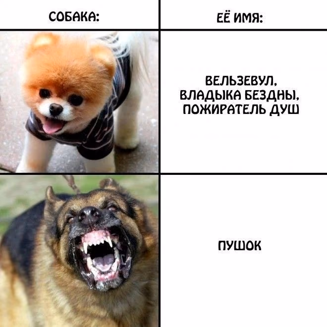 f53b3acfa1d0e76f3f9a5e5f94a70762.jpg