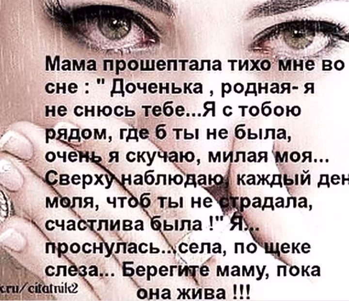 f53cc77ab37c1f3676e8ba861766ef15.jpg