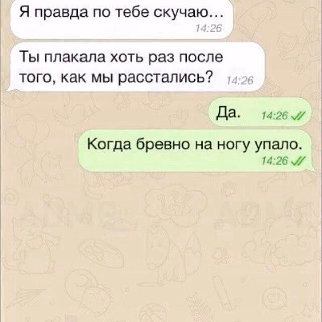 f54d1a161a26819fb3935539b8bec6f2.avif