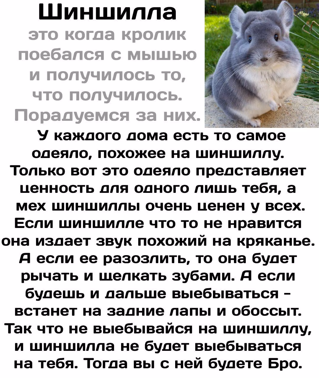 f5634cb3bbbe707cefbbdcbb89c4329f.jpg