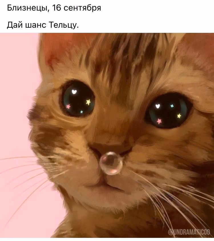f5943c2adb284c82b8dfc32f4b07a181.jpg