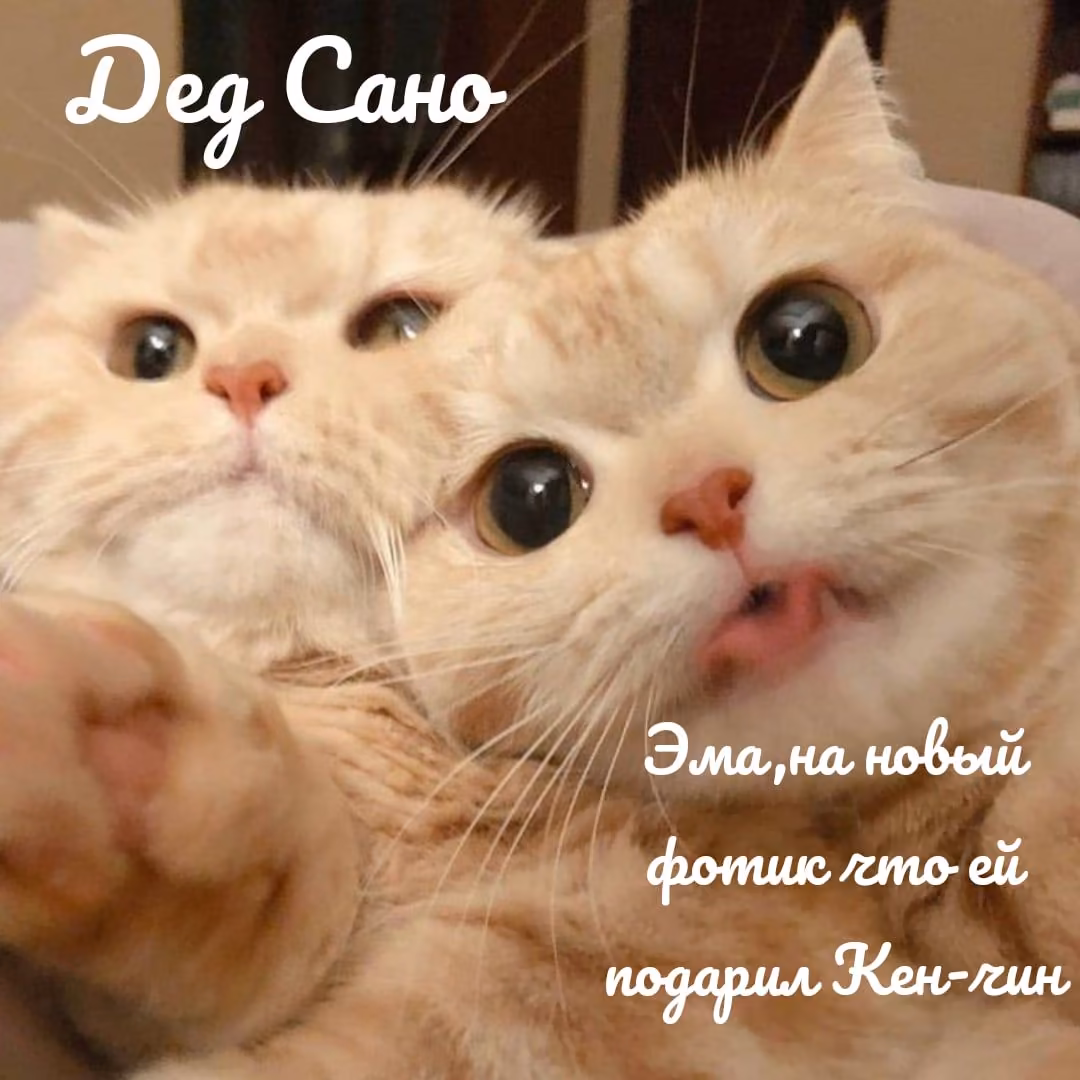 f59e1f6bff53a0f8b4b6cf1b57bdc6aa.avif